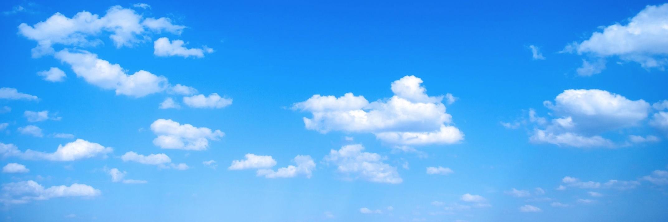 Nicolas Pratt banner