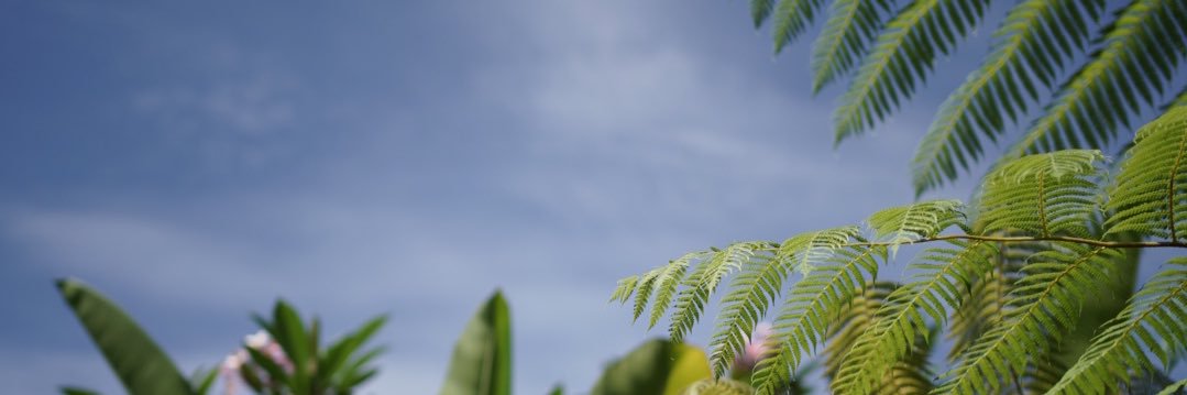 virdyabds's profile banner image