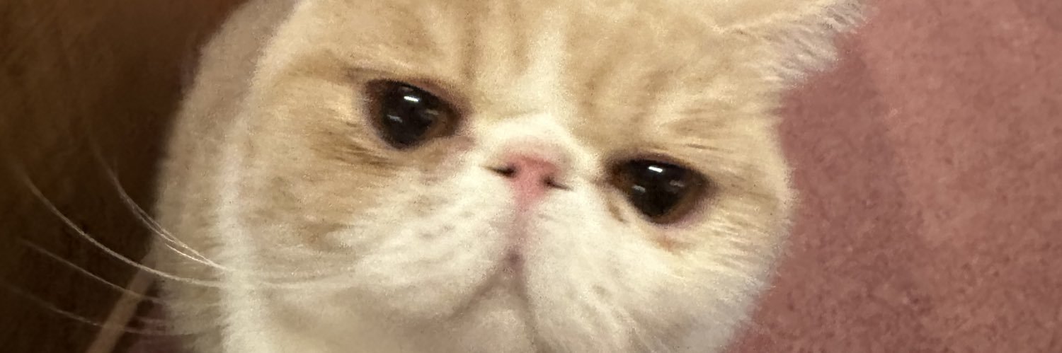 subarutann's profile banner image
