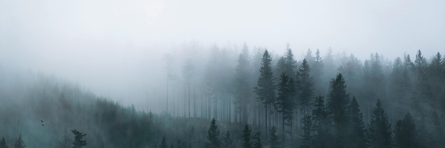 andreilupsa's profile banner image