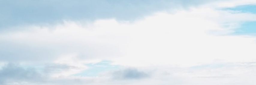 SofiiColla's profile banner image