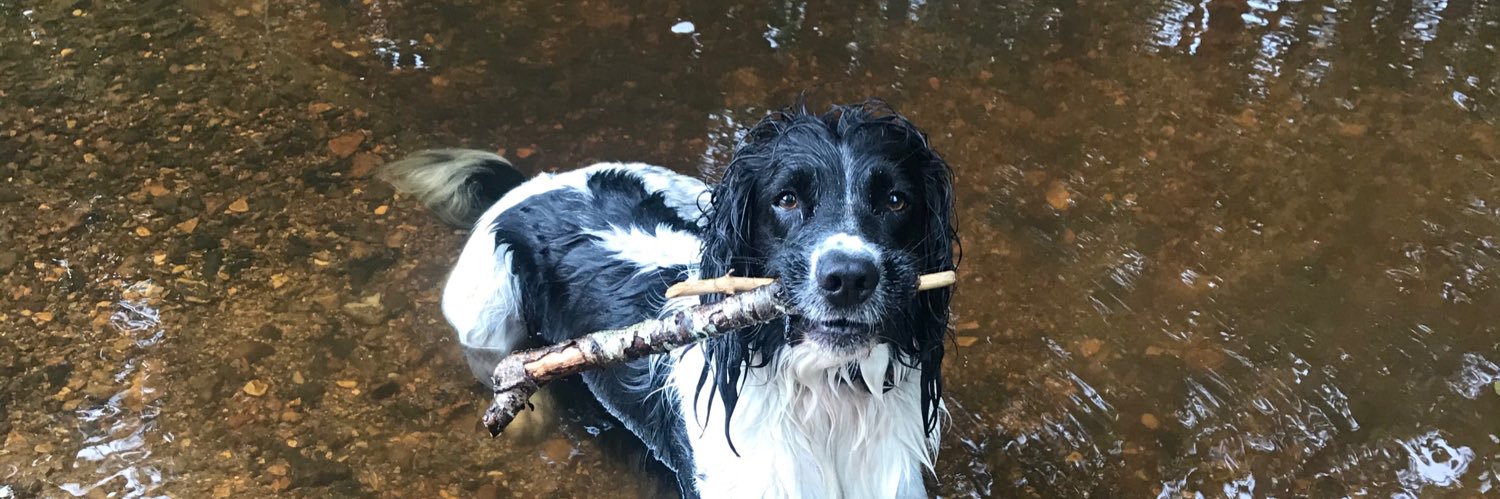 Michelle Churchill 💙 banner