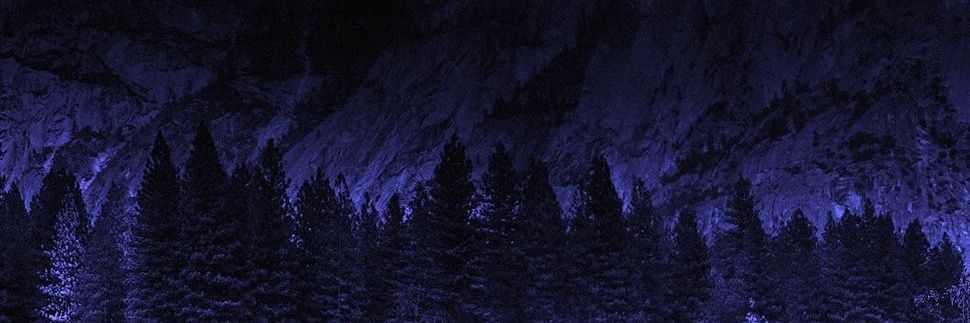 ×8ighty1ne× banner