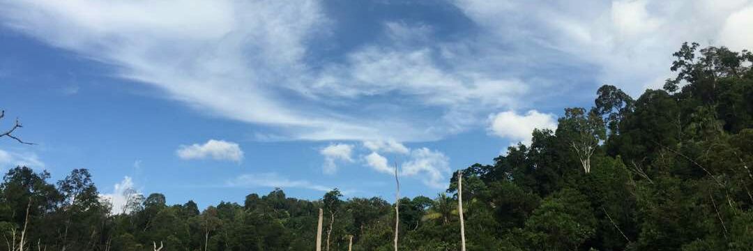 esyaahh's profile banner image