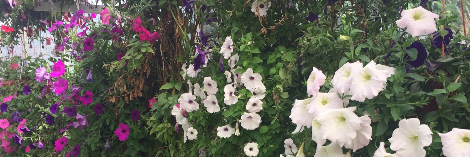 neeff44's profile banner image