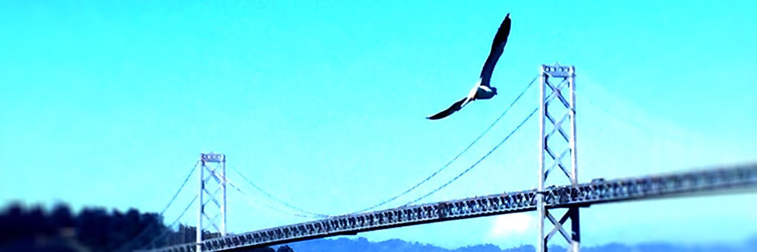 🔥This Is Not Fine🔥 banner