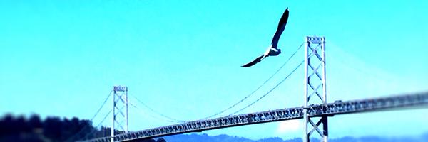 Adri Profile Banner