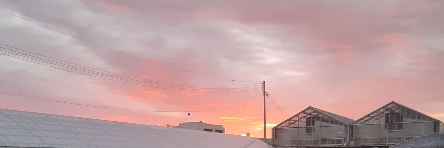 kappoukoga's profile banner image