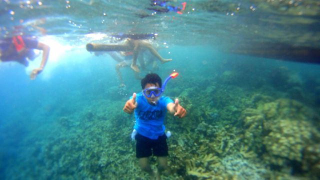 Dimaz Febrian banner