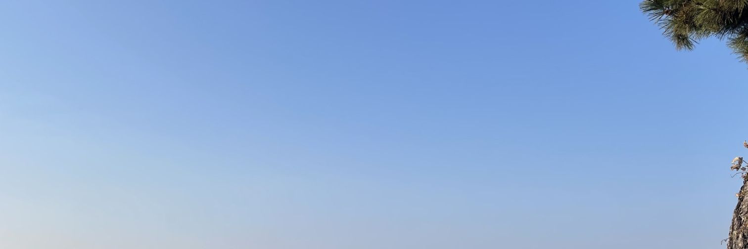 도쿄빠나나나 banner