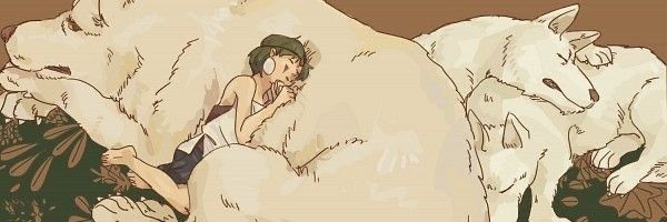 paaz banner