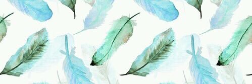 _FlorVivas_'s profile banner image
