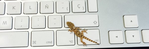 pedropaparicio Profile Banner