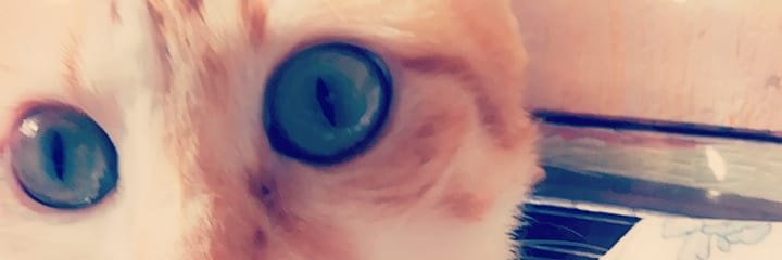 hindmohammad17's profile banner image