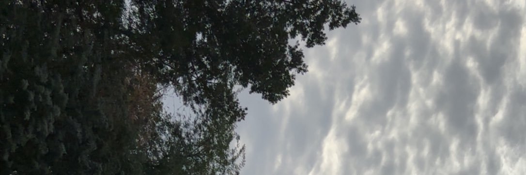 mishaal banner