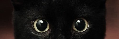 Esmaay's profile banner image