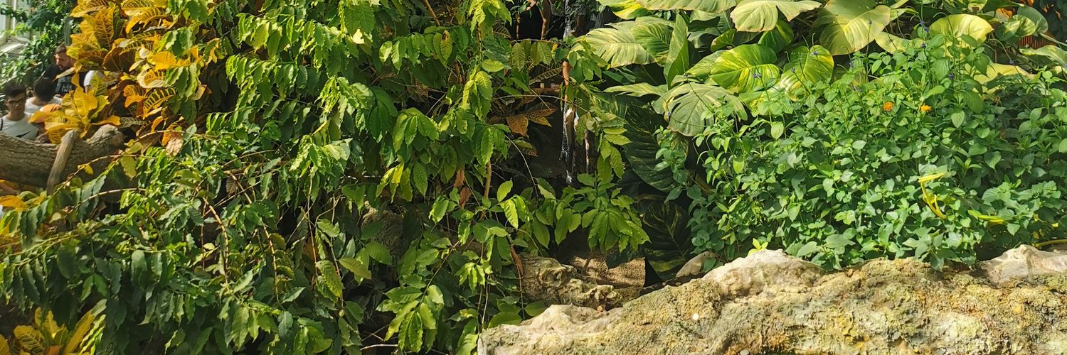 Larulula's profile banner image
