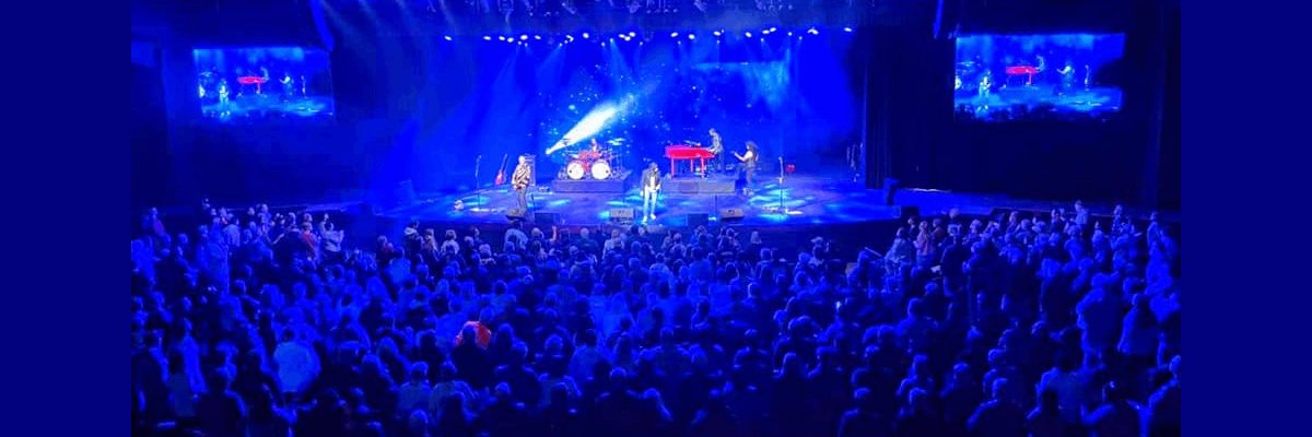 Matt Coddington banner