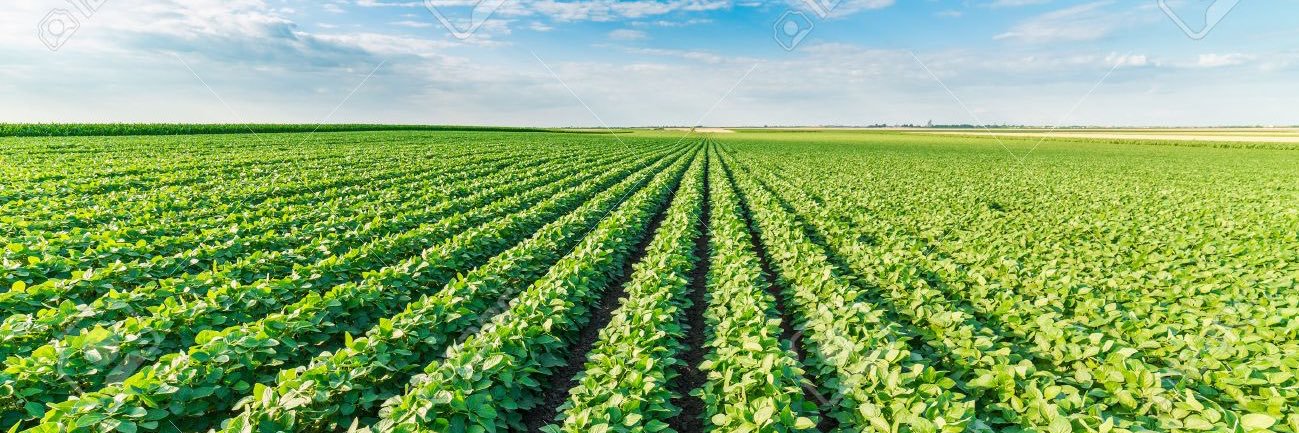 Travis Kriegshauser banner