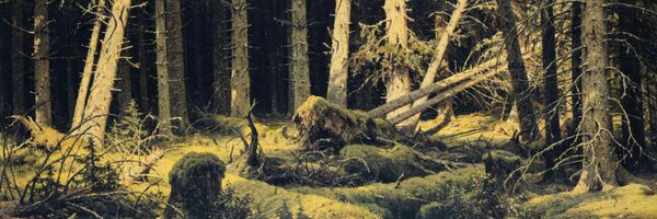 MZmihorski Profile Banner