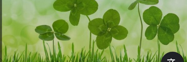 WV_Eemland Profile Banner