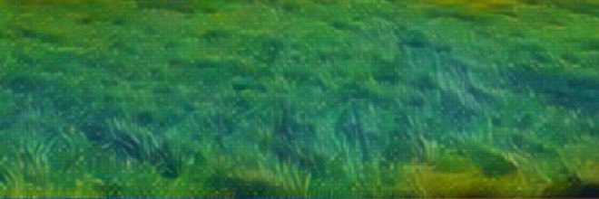 farmworldie's profile banner image