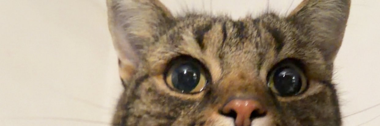 n_schlo's profile banner image