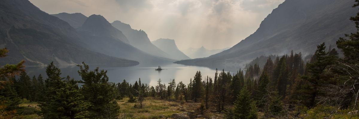 TomNovosad's profile banner image