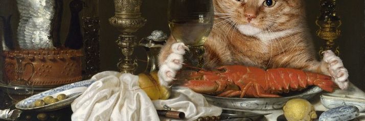 Judith Brouwer banner