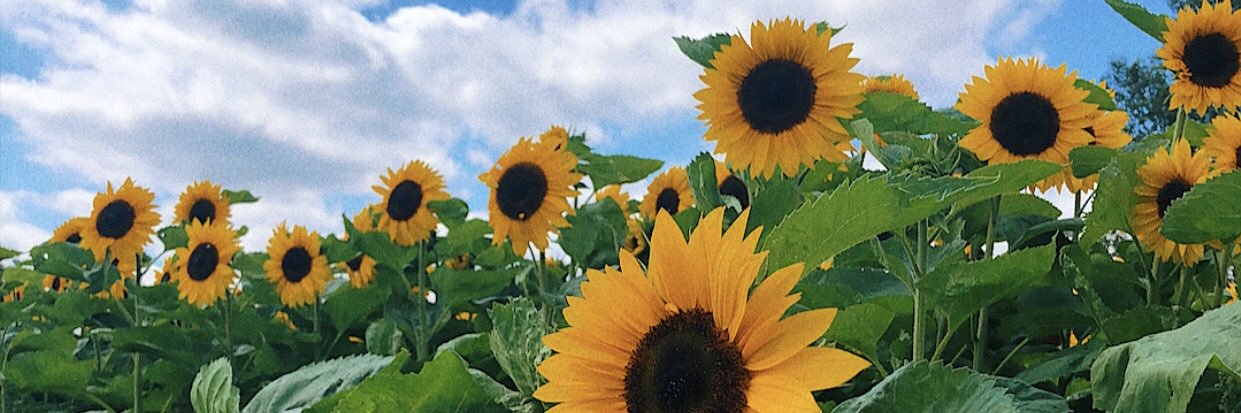 KatieLouisaaa's profile banner image