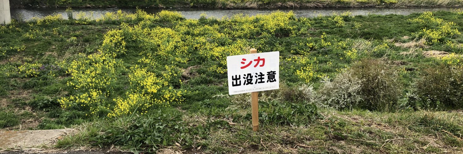 SIKA@ポケカ群馬🦌 banner
