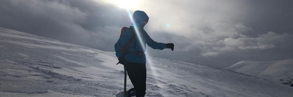 beethebumble's profile banner image