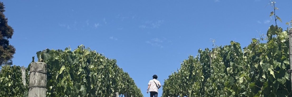 negaop's profile banner image