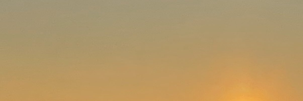 louis_girrl's profile banner image