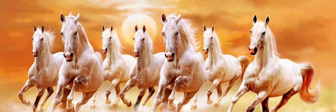 muditloyal's profile banner image