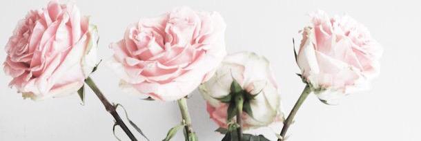 MaudeStPierre22's profile banner image