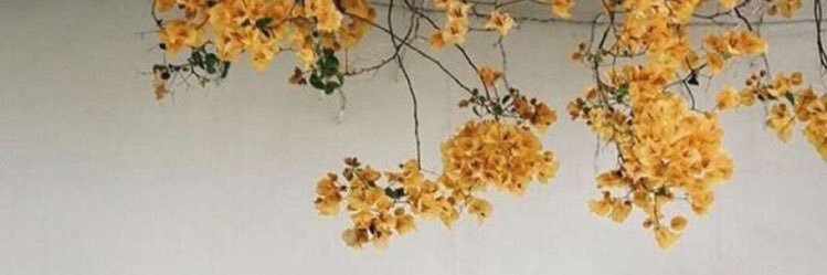 haas127's profile banner image
