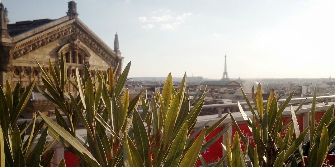 ENTENSI's profile banner image