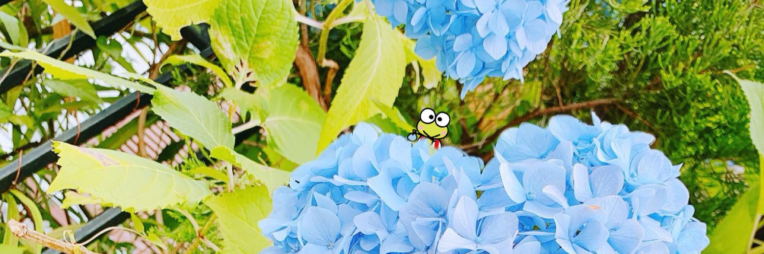 Tonar_Katy's profile banner image