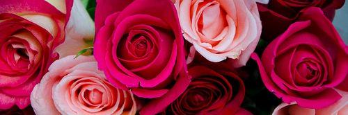 Andree1897's profile banner image