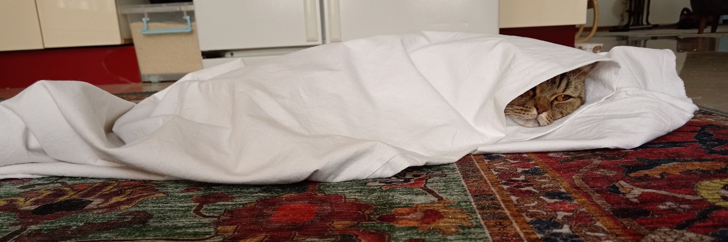 یوکی‌ساخته (ماهی کولی سابق) banner