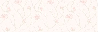 Putrianifah20's profile banner image