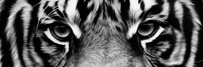 ilnurdi's profile banner image