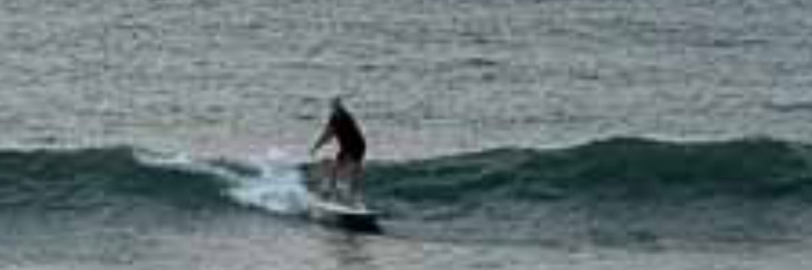 Matthew Cooke banner