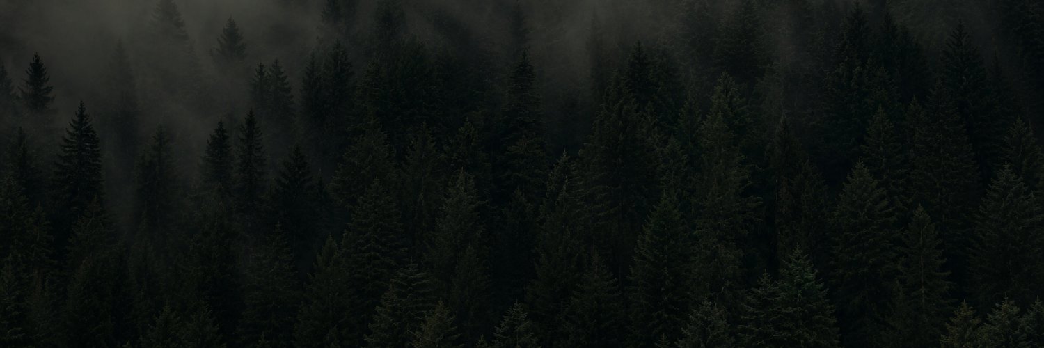 WriterForest's profile banner image