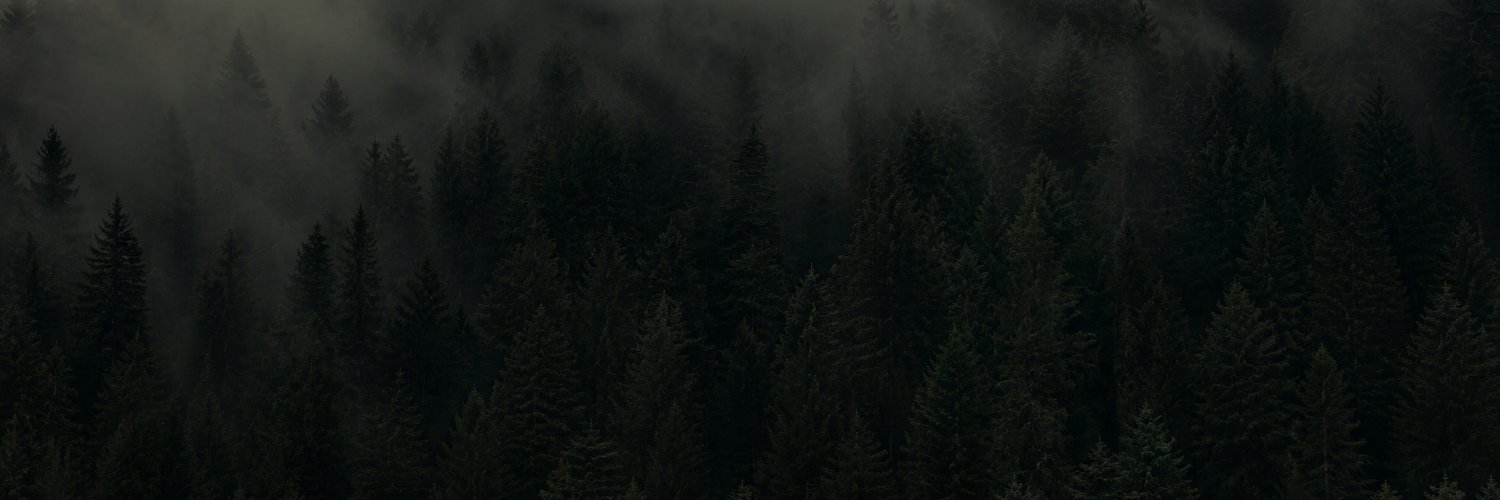 WriterForest's profile banner image