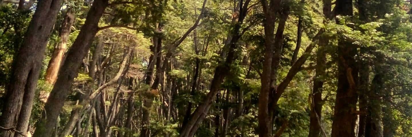 mar_aguss's profile banner image