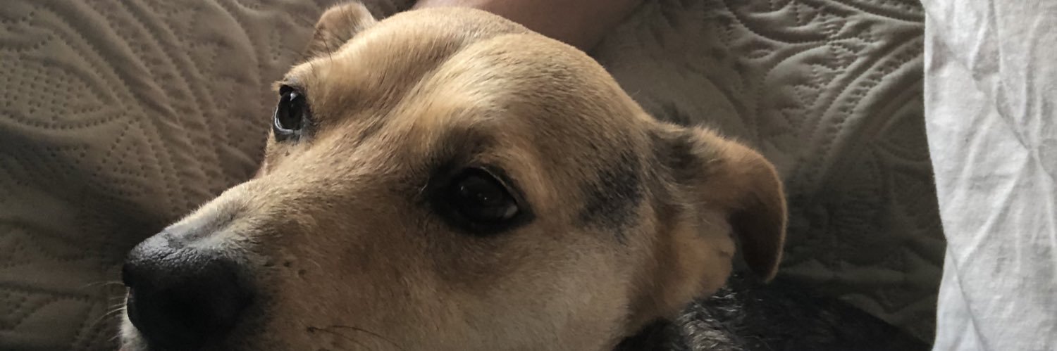 LaneKennedyy's profile banner image