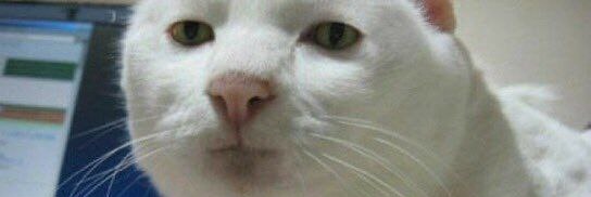 dianps24's profile banner image