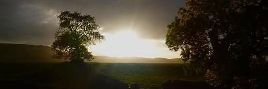 That Old Crone banner